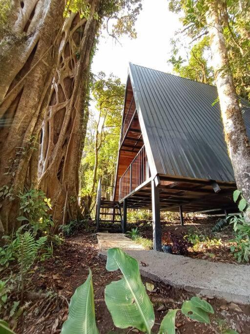 Вилла Casa Del Arbol Монте-Верде Экстерьер фото