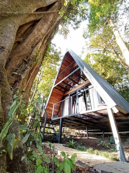 Вилла Casa Del Arbol Монте-Верде Экстерьер фото